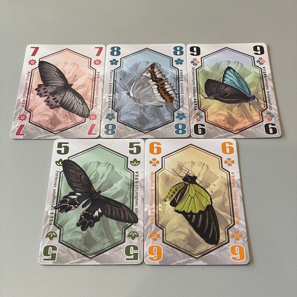 All Butterfly Kingdom components including butterfly cards, specimen markers, and score tokens.