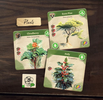 Carl von Linné — plant specimen cards