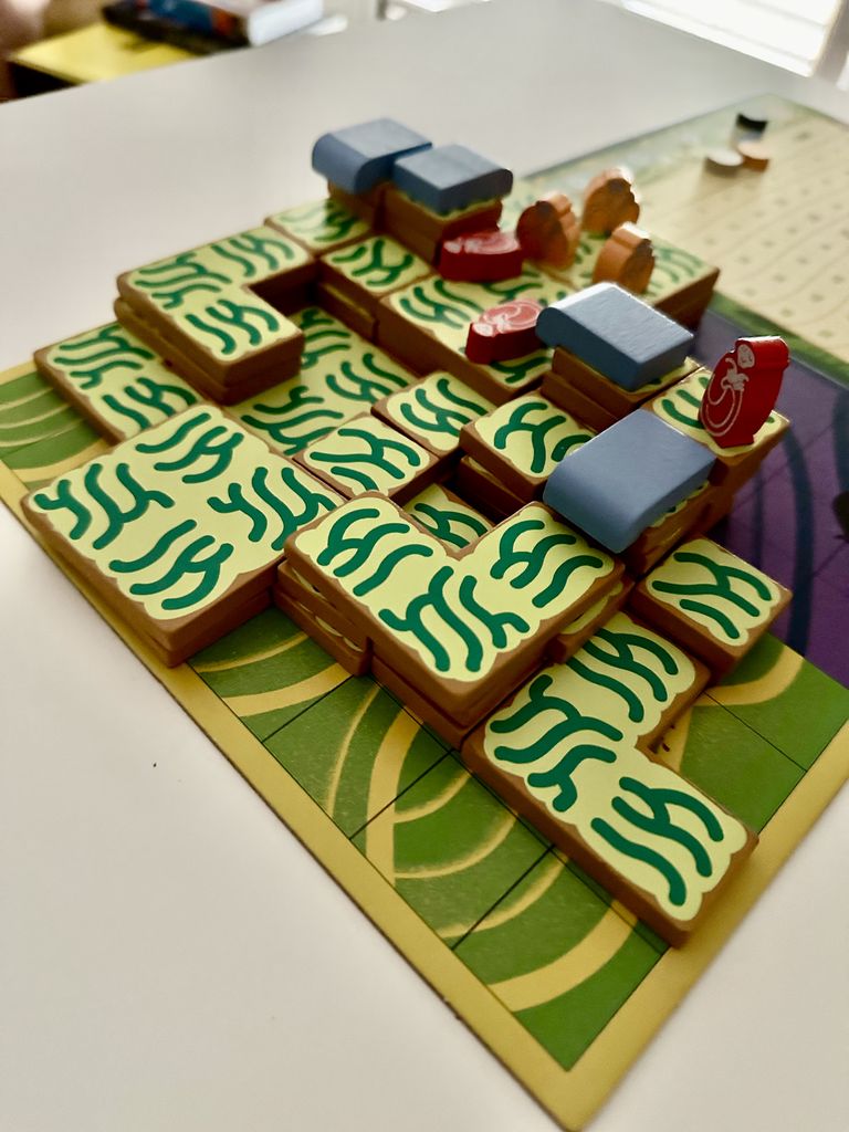Paddy — mid-game terraces in play